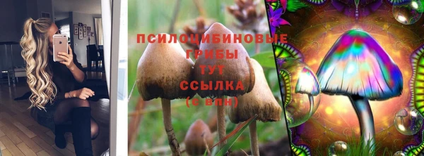 прущий лед Наволоки