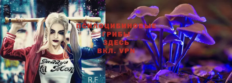 Псилоцибиновые грибы Psilocybe  мориарти клад  Константиновск  где можно купить наркотик 